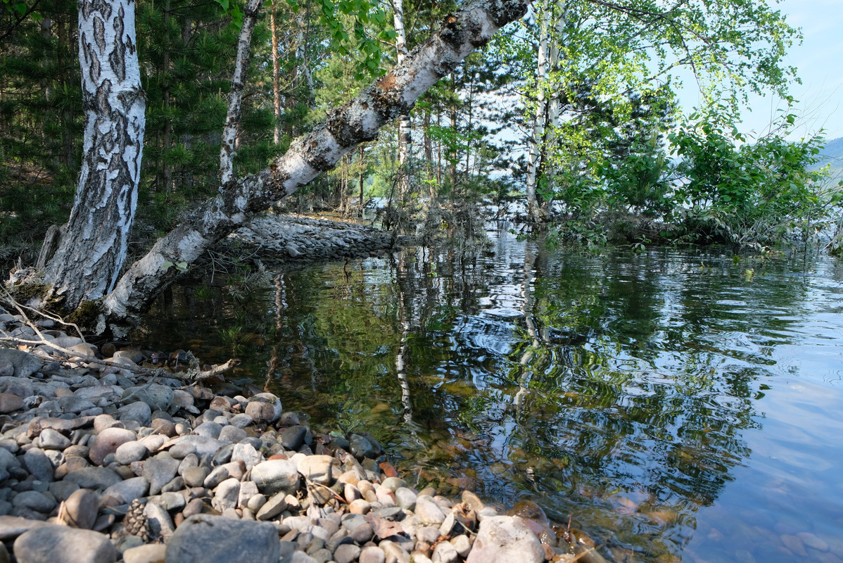 DSCF0180
