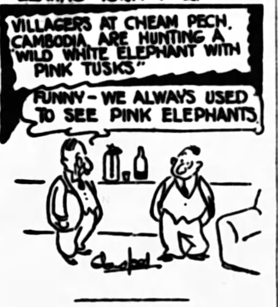 Cambodia_White_Elephant_6