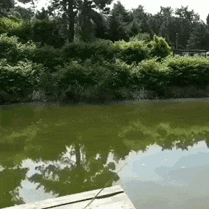 daily-gifdump-3356-14.gif