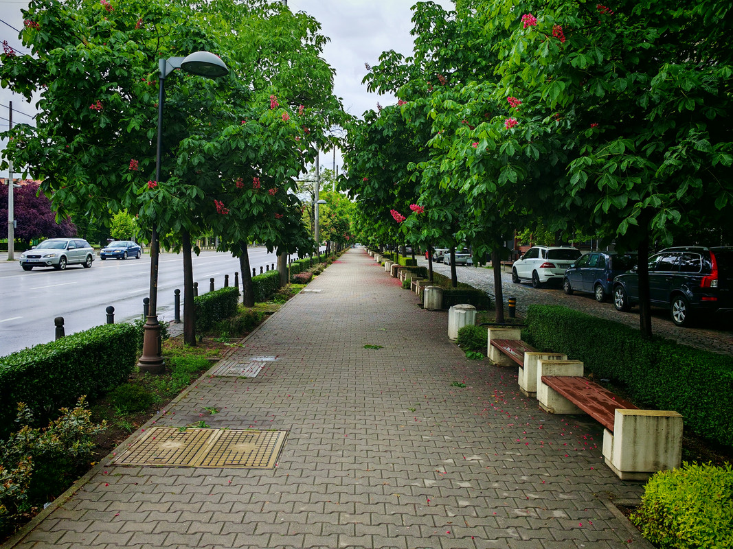 IMG_20240504_100606