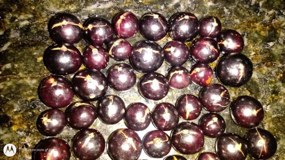 WhatsApp Image 2020-12-20 at 00.10.49 (54)