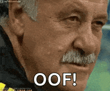 ricolino-scolari.gif