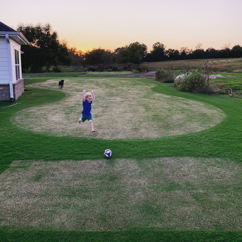 EF0E667F-84A8-4738-8014-3D143210BD64