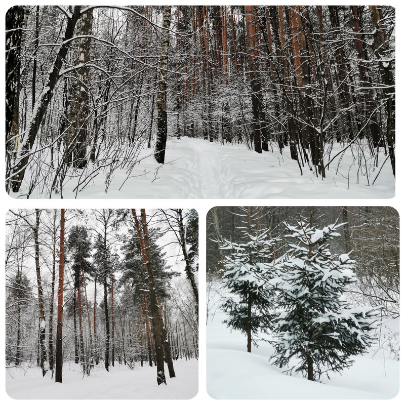 Polish 20240216 231327093 Postimages