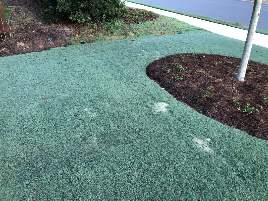 CF6B4603-1A5E-4324-B650-1A322F7CCBCB