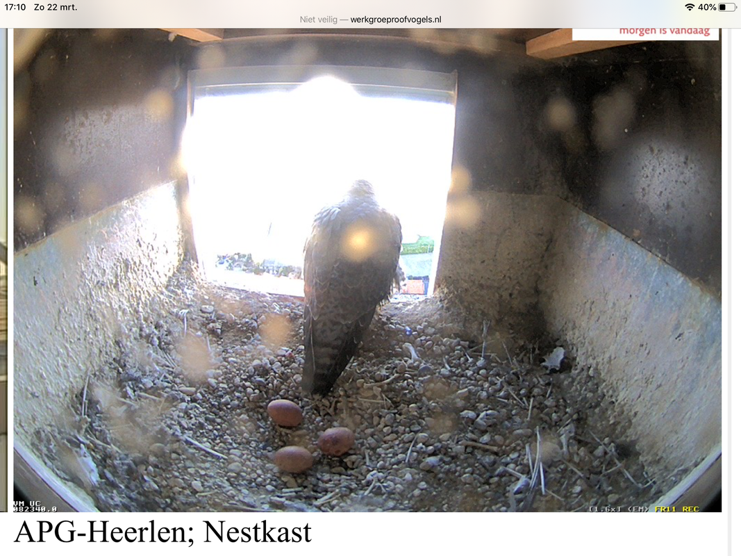 8D98CE53-280D-4BF6-8124-B24231C5505E