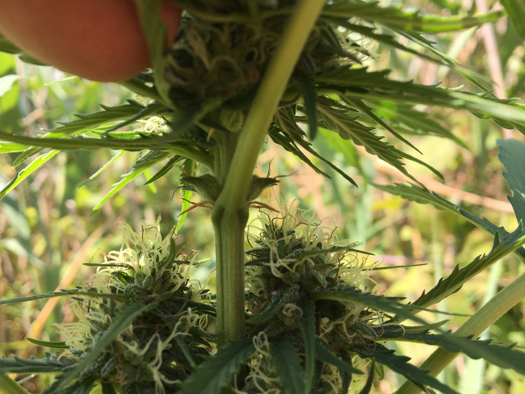 841DADB1-CCE6-40E9-9C46-E13FE8C1F17F