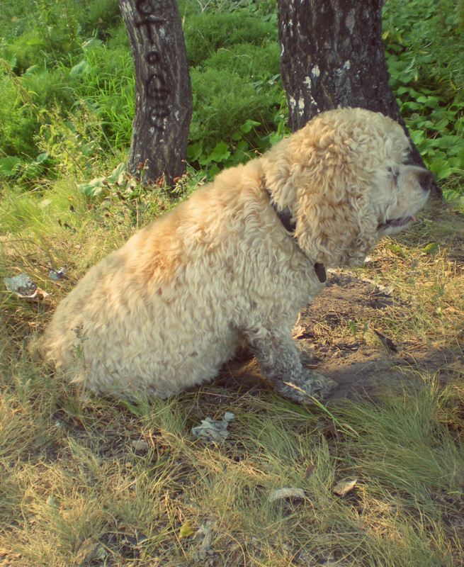 Fotoram-io-6.jpg