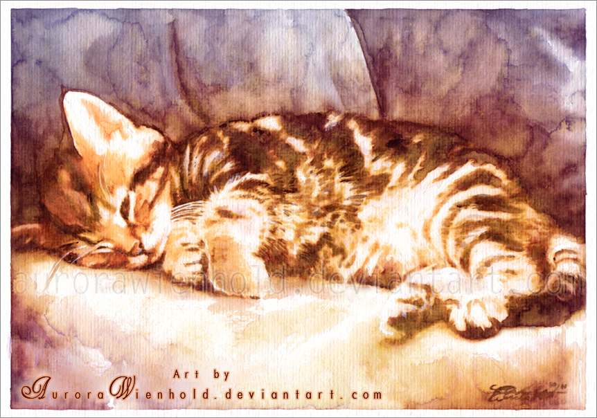 43-cat-nap-by-aurorawienhold-d39ysrx
