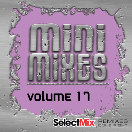 VA - Select Mix Mini Mixes Vol. 17 (2021)