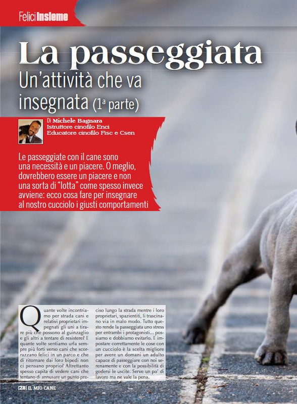 Il M C Dic 2022-Gen 2023 (3)