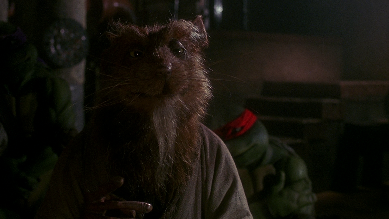 vlcsnap-2024-02-28-17h21m32s007