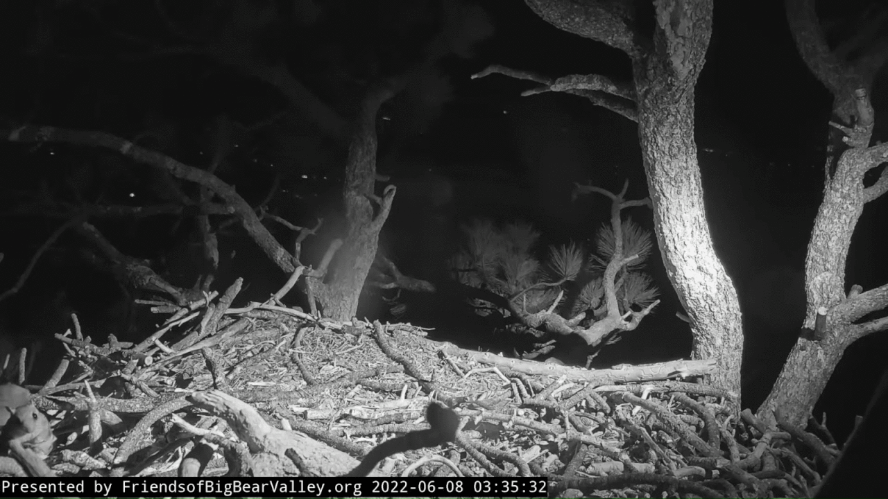 Webp.net-gifmaker (6)