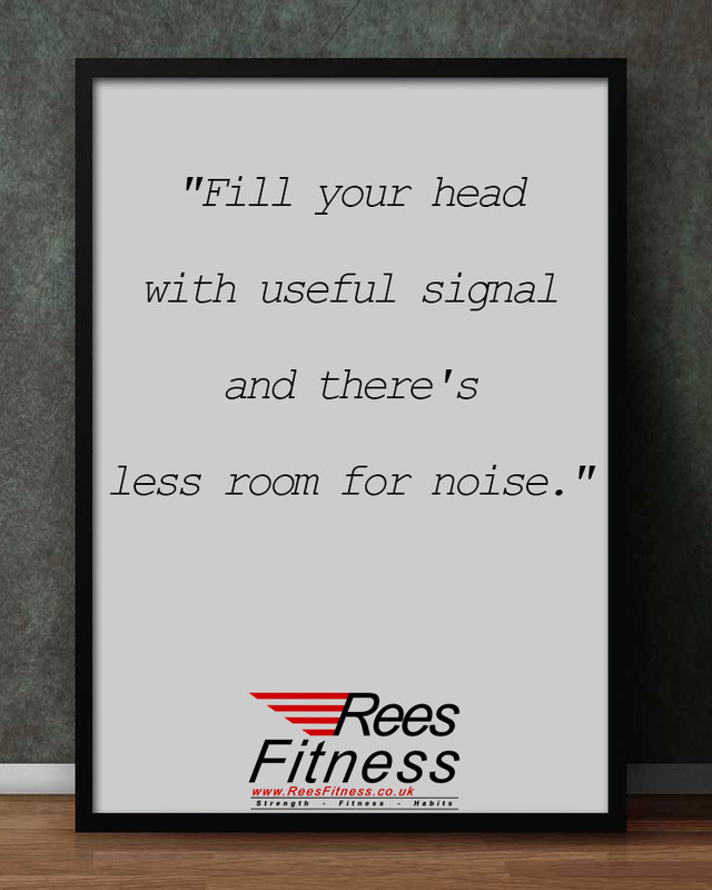 Fill your head with useful signal and there is less room for noise