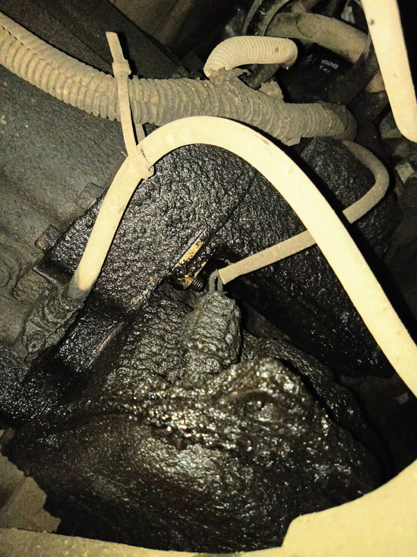 IMG_20201109_153621~2