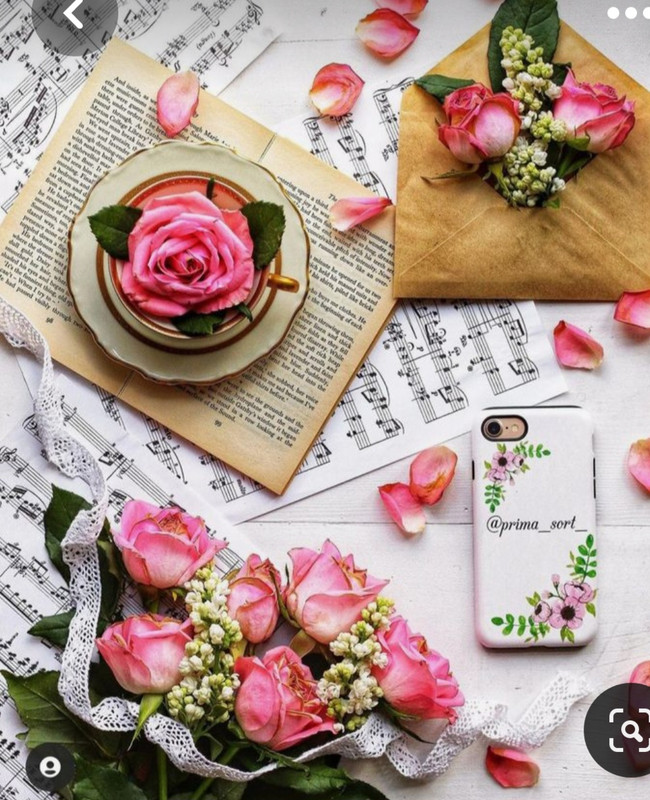 Screenshot_20230528_213024_Pinterest