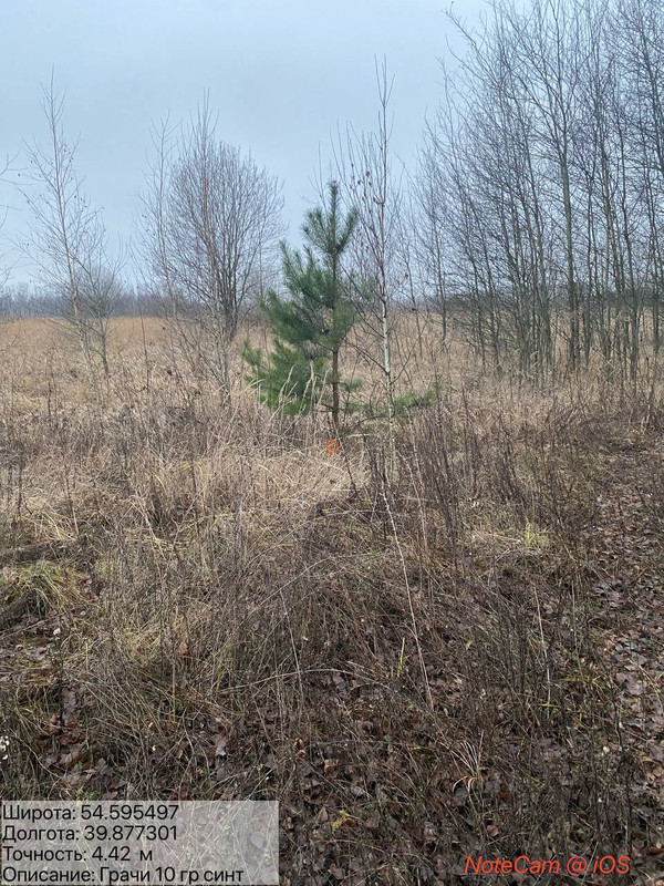 photo 2025 12 03 17 33 45