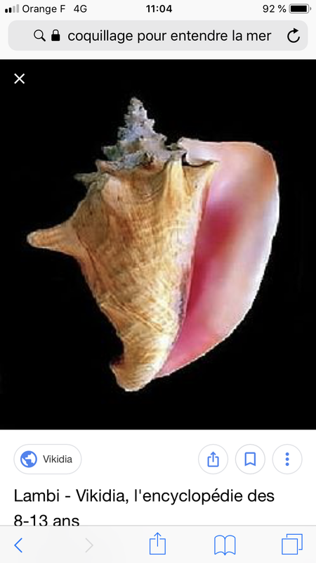 FB1BE876-60A4-43CE-BA59-CDFDAA36F84C