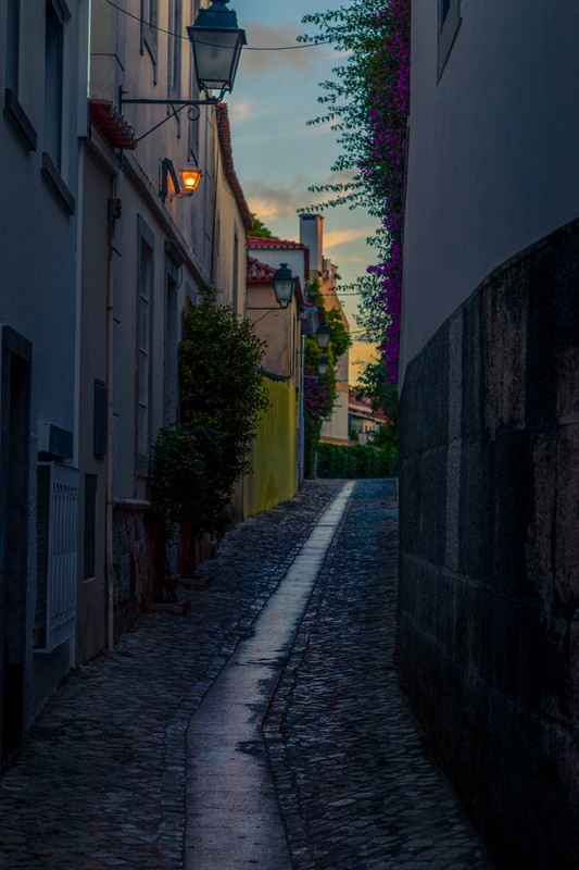 HIve-Cascsais-Centro-04.jpg
