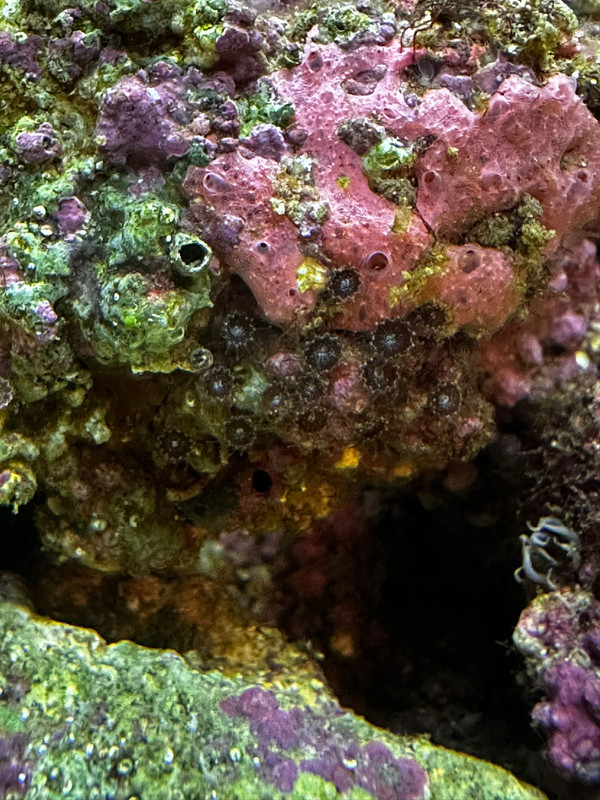 WhatsApp Image 2025-01-13 at 17.09.53(4)