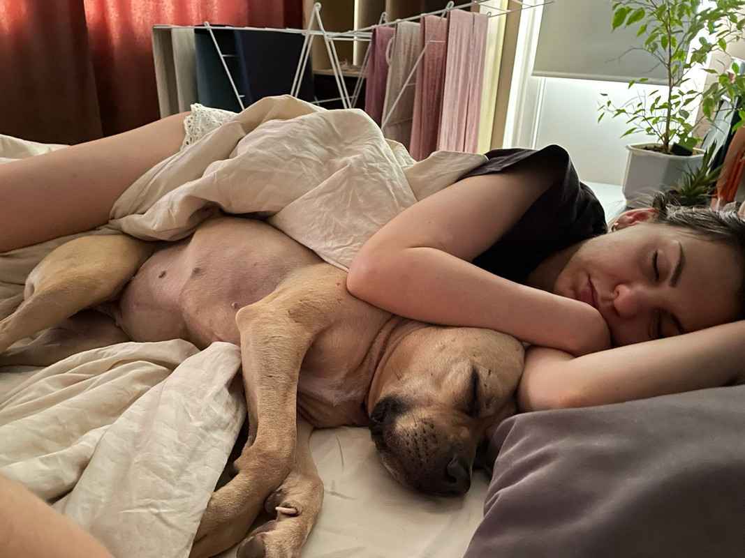 0A4D9232-812E-4F02-A20F-2E61223A97F5