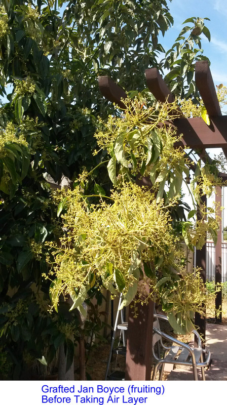 JB-Air-Pic10(Before)