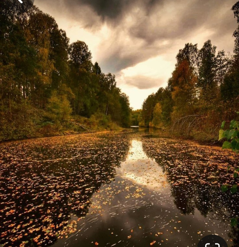 Screenshot_20240131_211112_Pinterest