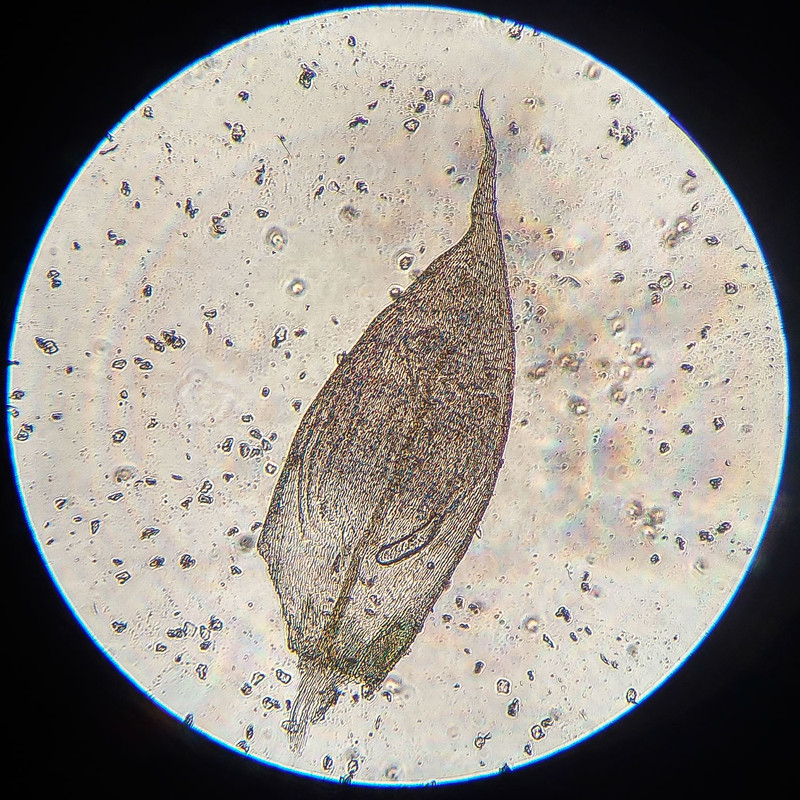 IMG 20250616 213208 HDR