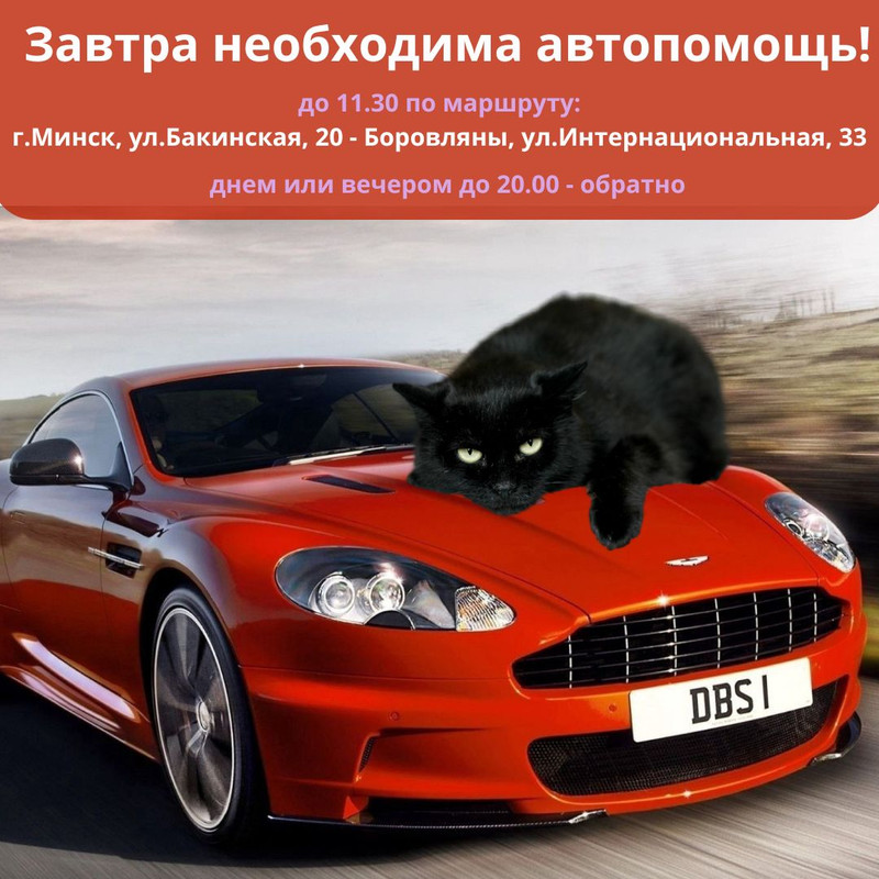 Добавить подзаголовок (1)