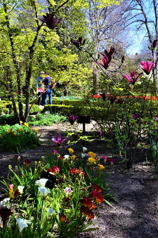 JARDIN BOTANICO-13-4-2013-MADRID - Paseando por España-1991/2023 (10)