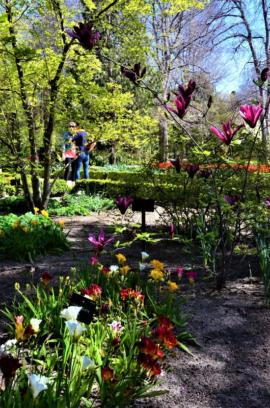 JARDIN BOTANICO-13-4-2013-MADRID - Paseando por España-1991/2024 (10)