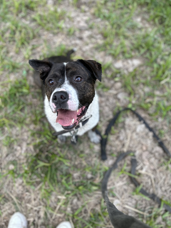 C5B88FED-F45E-4C31-B1DA-F685D22D228A