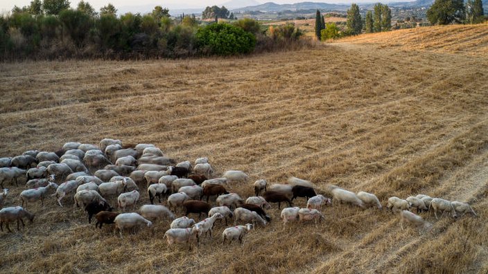 κοζάνη, ειδήσεις, νέα, Πτολεμαΐδα