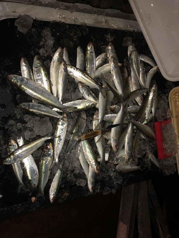 1968576F-DD1E-4D39-8178-D0F16B43450A