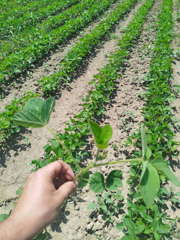 image-2026-06-06-140214997.png