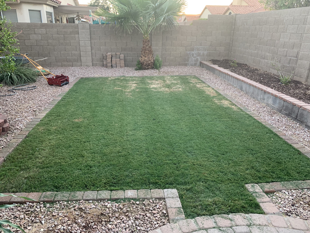 81E9D0B6-8C71-4BCE-BAC7-214DD79A99F2