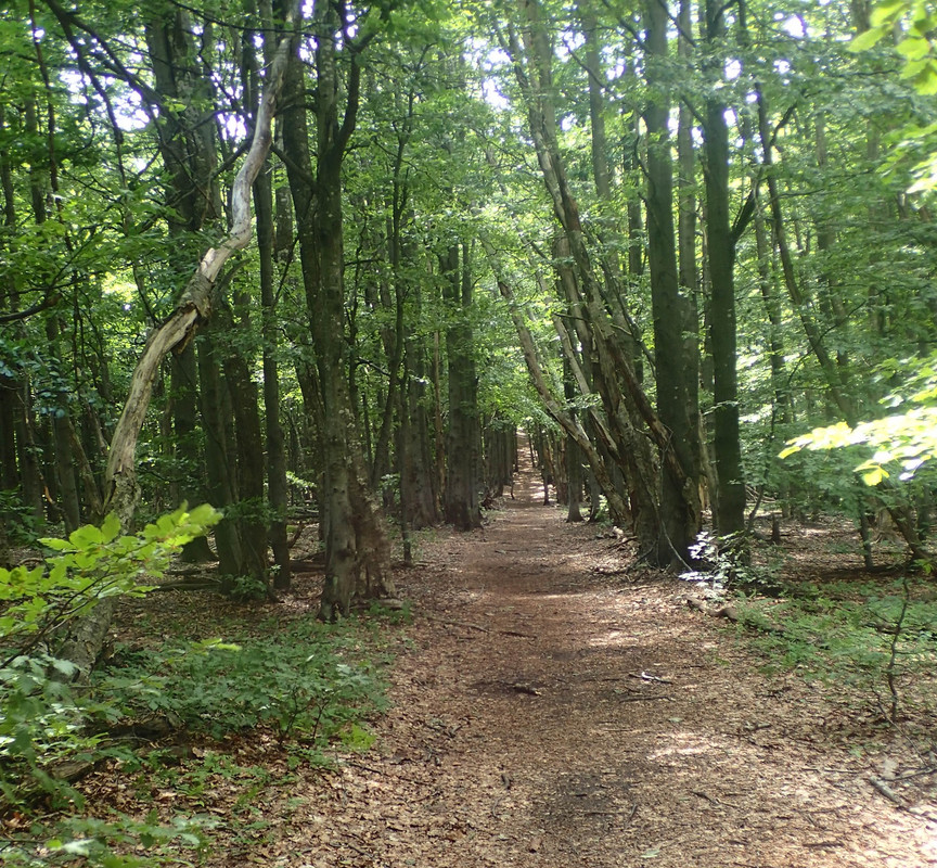 2019_0714VTACNIK_TG0104