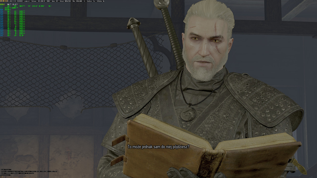 witcher3_2025_07_21_17_36_13_695