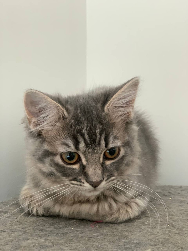 2AEDE0E9-5A6E-4E90-93AF-D11E4FC5F6CA