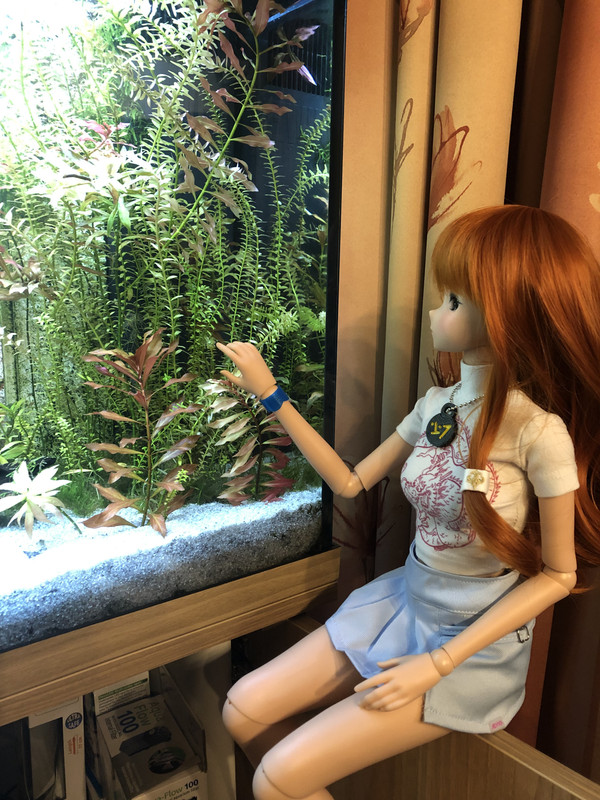 2201B383-E071-42DF-AFA3-5F41BEEC0B59