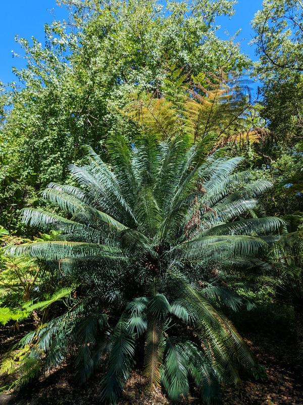 PXL_20240311_023926479
