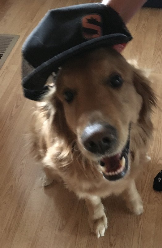 18A3846B-E393-4067-ADBC-581593B4D0E1