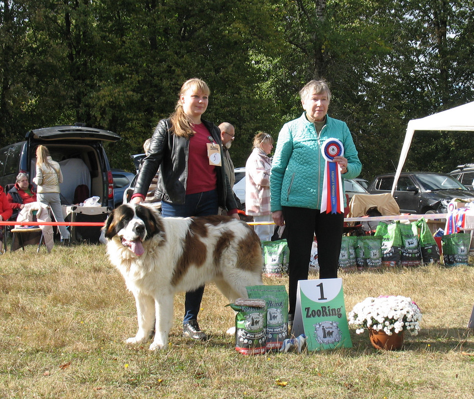 005 ПОСАДСКАЯ СТРАЖА ЧАРЕЙ 1