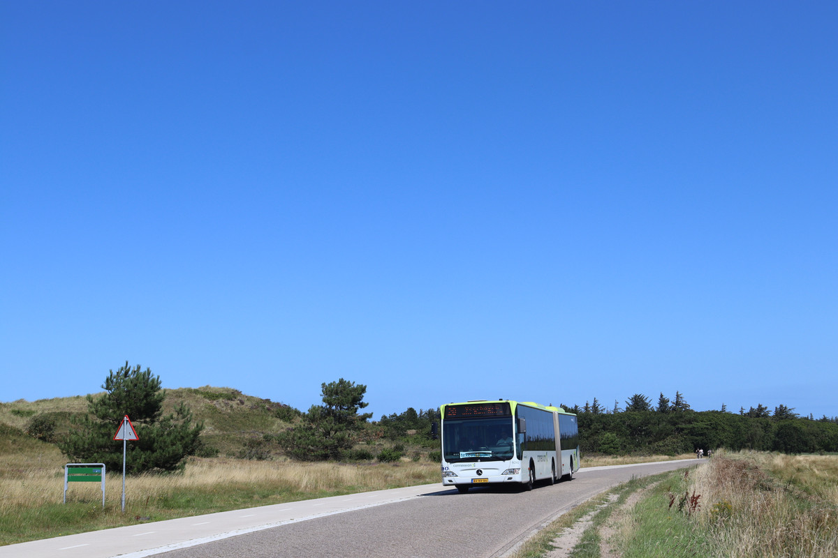 TXL (6)