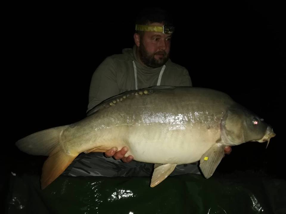 46422815-1975790759387624-14500142494211