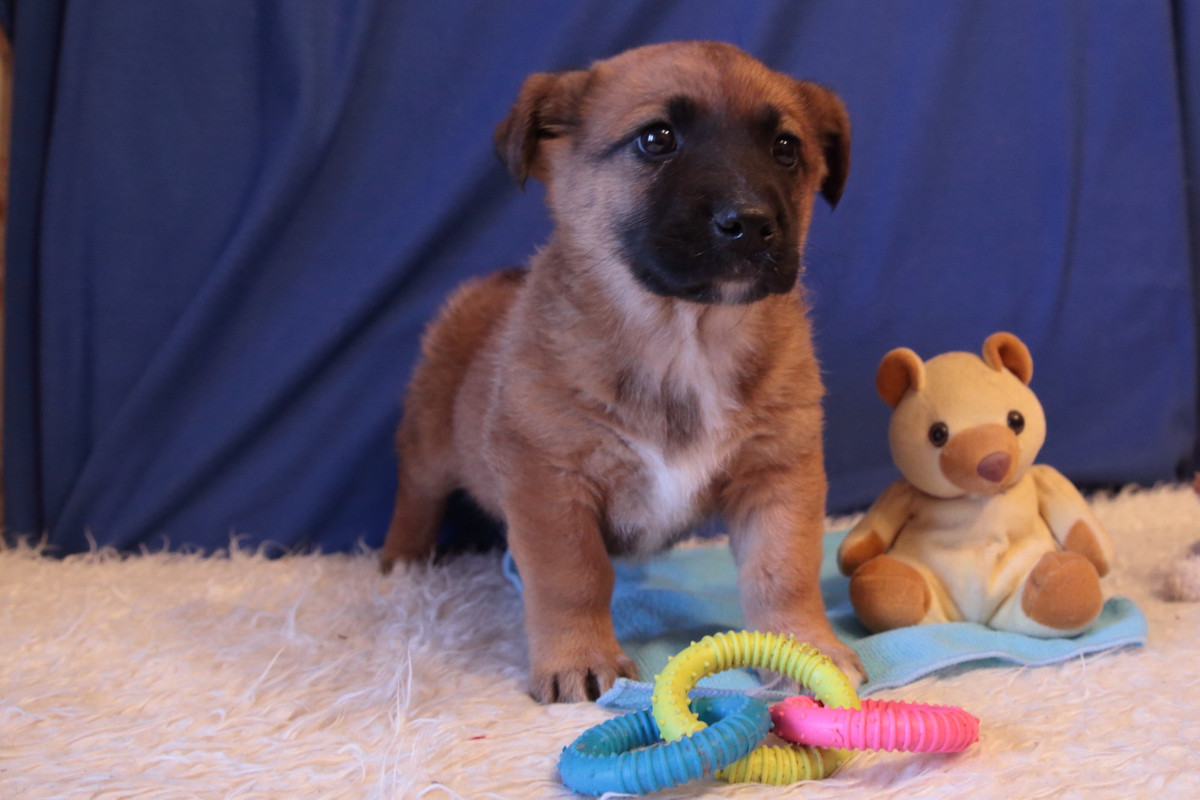 6969D0EB-13C4-43BD-A206-0FF965A4365E