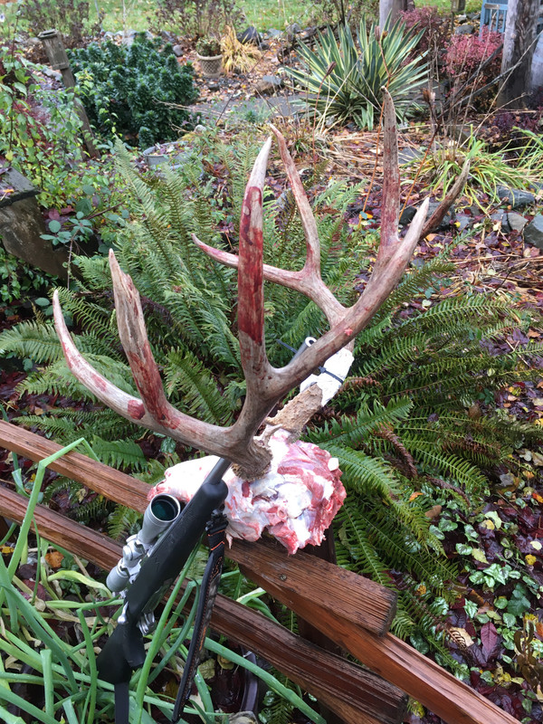 7F88D11C-53BA-4063-B8C6-6EA14A410768