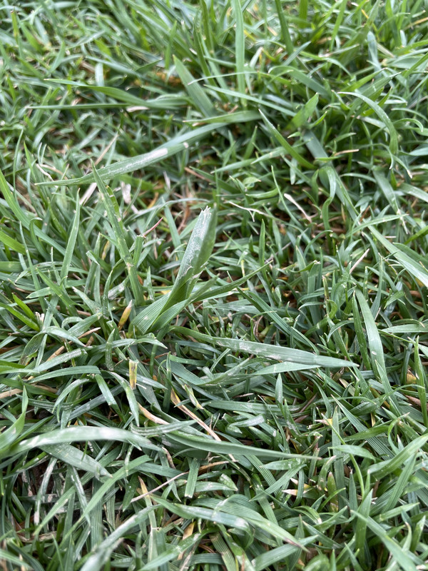 941A4D0D-6619-40D4-A6AF-FC0CA653A22E