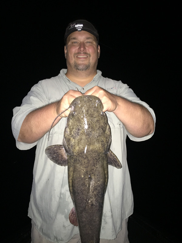 A3E633A9-1EC0-4941-8263-171A2C330840