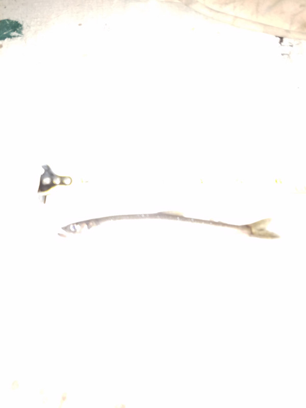 20190415_234023